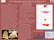 Research paper thumbnail of Using A White Light Confocal Profiler For Cut Mark Analysis