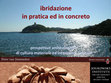 Research paper thumbnail of Ibridizzazione in pratica ed in concreto: prospettive archeologiche di cultura materiale ed interazioni culturali