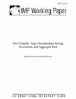 Research paper thumbnail of The Volatility Trap: Precautionary Saving, Investment, and Aggregate Risk