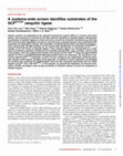 Research paper thumbnail of A systems-wide screen identifies substrates of the SCFβTrCP ubiquitin ligase