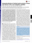 Research paper thumbnail of Immunolocalization of skeletal matrix proteins in tissue and mineral of the coral Stylophora pistillata