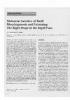 Research paper thumbnail of Molecular Genetics of Tooth Morphogenesis and Patterning: The Right Shape in the Right Place