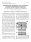 Research paper thumbnail of Identification of Genes Dependent on the MADS Box Transcription Factor SrfA in Dictyostelium discoideum Development