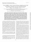 Research paper thumbnail of Loss of SMEK, a Novel, Conserved Protein, Suppresses mek1 Null Cell Polarity, Chemotaxis, and Gene Expression Defects