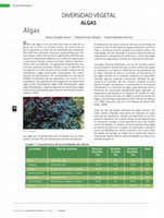 Research paper thumbnail of Capítulo 4. Especies Diversidad vegetal ALGAS.  Ileana Ortegón Aznar, Yolanda Freile Pelegrín y Daniel Robledo