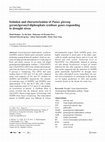 Research paper thumbnail of Isolation and characterization of Panax ginseng geranylgeranyl-diphosphate synthase genes responding to drought stress