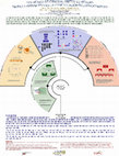 Research paper thumbnail of Los museos de ciencias, objetos de estudio desde la perspectiva de la comunicación del conocimiento