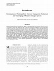 Research paper thumbnail of Participation of Photosynthetic Electron Transport in Production and Scavenging of Reactive Oxygen Species