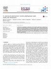 Research paper thumbnail of O2 reduction by photosystem I involves phylloquinone under steady-state illumination