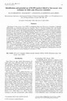 Research paper thumbnail of Identification and potential use of RAPD markers linked to Yam mosaic virus resistance in white yam (Dioscorea rotundata)