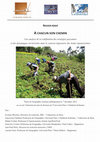 Research paper thumbnail of A chacun son chemin. Une analyse de la redéfinition des stratégies paysannes et des dynamiques territoriales dans le contexte migratoire des Andes équatoriennes (2012)