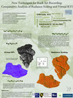 Research paper thumbnail of New techniques for Rock Art recording: Comparative Analysis of Radiance Scaling and Virtual RTI