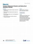 Research paper thumbnail of Common Behavioral Clusters and Subcortical Anatomy in Stroke