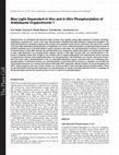 Research paper thumbnail of Blue Light-Dependent in Vivo and in Vitro Phosphorylation of Arabidopsis Cryptochrome 1