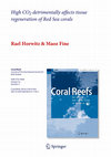 Research paper thumbnail of High CO2 detrimentally affects tissue regeneration of Red Sea corals