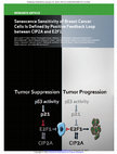 Research paper thumbnail of Senescence sensitivity of breast cancer cells is defined by positive feedback loop between CIP2A and E2F1