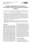 Research paper thumbnail of Phosphate Solubilizing Bacteria Efficiency on Mycorrhization and Growth of Peanut in the Northwest of Morocco