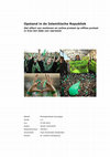 Research paper thumbnail of Opstand in de Islamitische Republiek