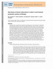 Research paper thumbnail of Risk factors of bovine tuberculosis in cattle in rural livestock production systems of Ethiopia