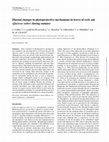 Research paper thumbnail of Diurnal changes in photoprotective mechanisms in leaves of cork oak (Quercus suber) during summer