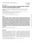 Research paper thumbnail of CO2 efflux, CO2 concentration and photosynthetic refixation in stems of Eucalyptus globulus (Labill.)