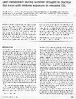 Research paper thumbnail of Leaf Metabolism During Summer Drought in Quercus Ilex Trees with Lifetime Exposure to Elevated CO 2