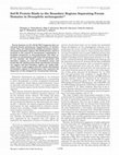 Research paper thumbnail of SuUR protein binds to the boundary regions separating forum domains in Drosophila melanogaster