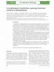 Research paper thumbnail of A morphological classification capturing functional variation in phytoplankton