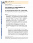 Research paper thumbnail of Structural basis for the inhibition of mammalian and insect α-amylases by plant protein inhibitors