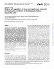 Research paper thumbnail of Distinct pH regulation of slow and rapid anion channels at the plasma membrane of Arabidopsis thaliana hypocotyl cells