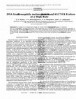 Research paper thumbnail of DNA from Drosophila melanogaster Interband 61C7/C8 Evolves at a High Rate