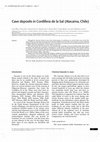 Research paper thumbnail of Cave deposits in Cordillera de la Sal (Atacama, Chile)