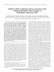 Research paper thumbnail of Sulfate is both a substrate and an activator of the voltage-dependent anion channel of Arabidopsis hypocotyl cells