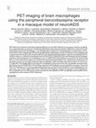 Research paper thumbnail of PET imaging of brain macrophages using the peripheral benzodiazepine receptor in a macaque model of neuroAIDS