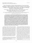 Research paper thumbnail of Direct Inoculation of Simian Immunodeficiency Virus from Sooty Mangabeys in Black Mangabeys (Lophocebus aterrimus): First Evidence of AIDS in a Heterologous African Species and Different Pathologic Outcomes of Experimental Infection