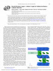 Research paper thumbnail of Beyond Divalent Copper: A Redox Couple for Sodium Ion Battery Cathode Materials