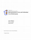 Research paper thumbnail of Macroeconomic Crisis and Individual Performance: The Mexican Experience