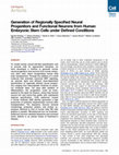 Research paper thumbnail of Generation of Regionally Specified Neural Progenitors and Functional Neurons from Human Embryonic Stem Cells under Defined Conditions