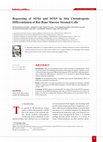 Research paper thumbnail of Repressing of SOX6 and SOX9 in Situ Chondrogenic Differentiation of Rat Bone Marrow Stromal Cells