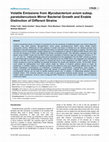 Research paper thumbnail of Volatile Emissions from Mycobacterium avium subsp. paratuberculosis Mirror Bacterial Growth and Enable Distinction of Different Strains