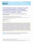 Research paper thumbnail of The A9 dopamine neuron component in grafts of ventral mesencephalon is an important determinant for recovery of motor function in a rat model of Parkinson's disease