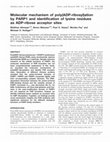 Research paper thumbnail of Molecular mechanism of poly(ADP-ribosyl)ation by PARP1 and identification of lysine residues as ADP-ribose acceptor sites