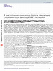 Research paper thumbnail of A macrodomain-containing histone rearranges chromatin upon sensing PARP1 activation