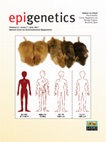 Research paper thumbnail of Hypothesis: Environmental regulation of 5-hydroxymethylcytosine by oxidative stress