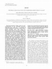 Research paper thumbnail of THE ROLE AND EVOLUTION OF SUPEROXIDE DISMUTASES IN ALGAE1