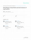 Research paper thumbnail of Hind Wings in Basal Birds and the Evolution of Leg Feathers Chinese Academy of Sciences 48 PUBLICATIONS 2,310 CITATIONS SEE PROFILE Chinese Academy of Sciences 242 PUBLICATIONS 5,415 CITATIONS SEE PROFILE