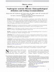 Research paper thumbnail of Nephrogenic systemic fibrosis: Clinicopathological definition and workup recommendations