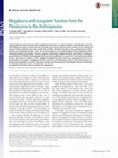 Research paper thumbnail of Megafauna and ecosystem function from the Pleistocene to the Anthropocene