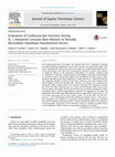 Research paper thumbnail of Evaluation of Cardiovascular Function During S(+)-Ketamine Constant Rate Infusion in Dorsally Recumbent Halothane-Anesthetized Horses