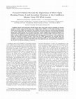 Research paper thumbnail of Forced evolution reveals the importance of short open reading frame A and secondary structure in the cauliflower mosaic virus 35S RNA leader